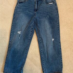 Universal Standard Distressed Blue Jeans